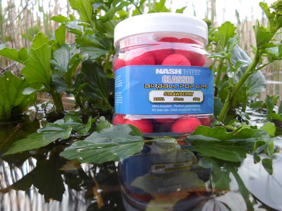 nash - 54791443761664146762000848584n.jpg